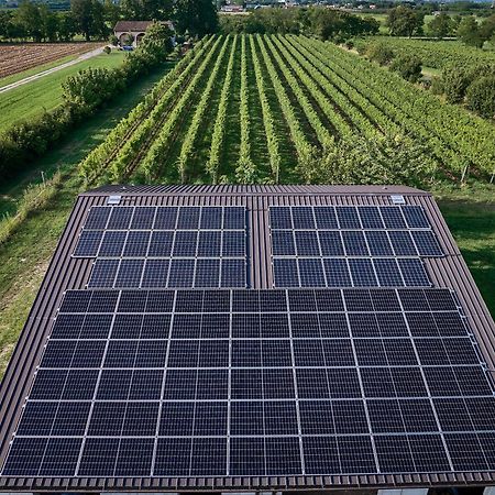 Agriturismo Zappare Farm Hotel Trevignano Dış mekan fotoğraf