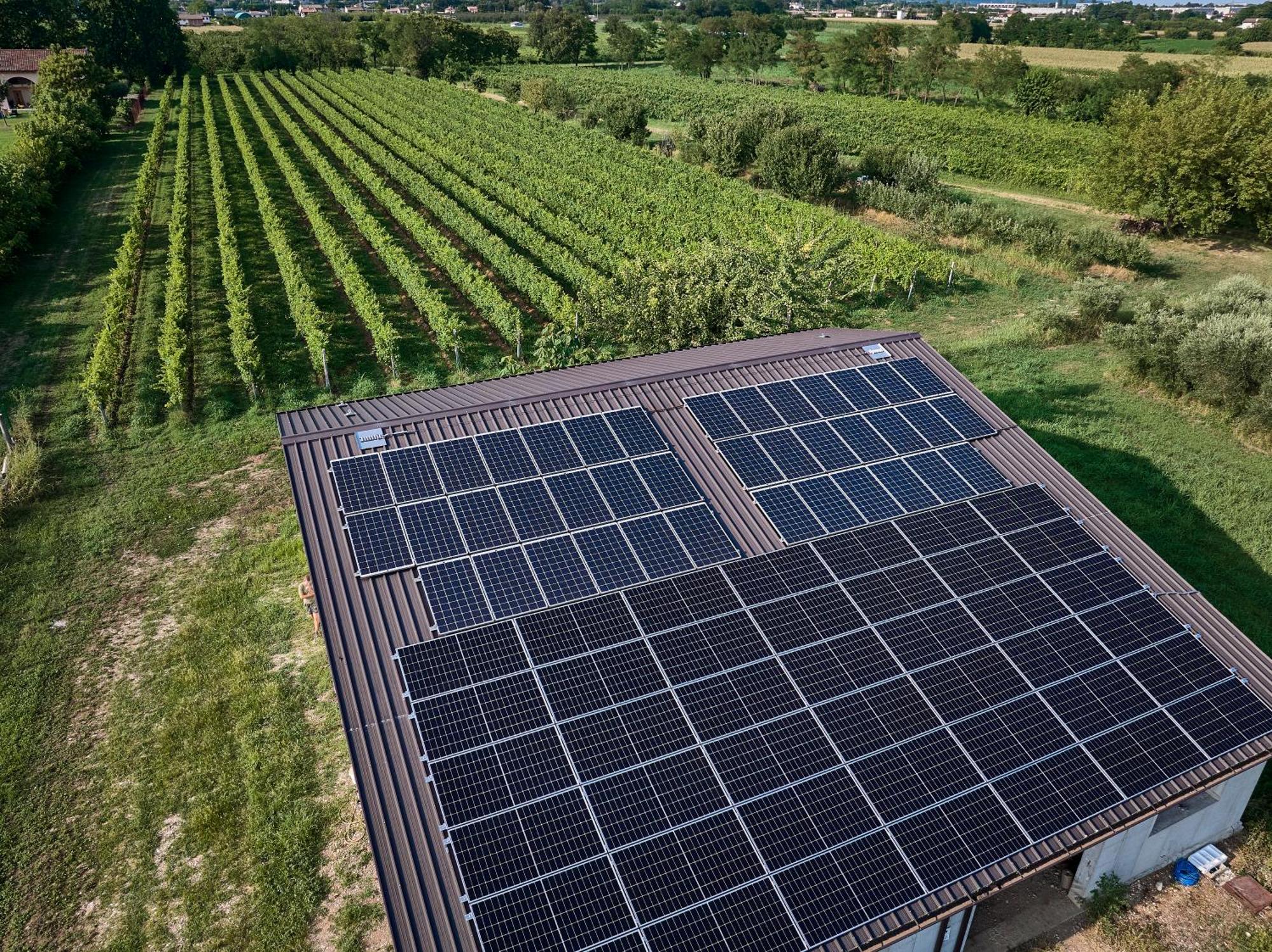Agriturismo Zappare Farm Hotel Trevignano Dış mekan fotoğraf